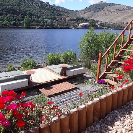 Casa Dos Vinhais - Douro Valley Coleja Экстерьер фото
