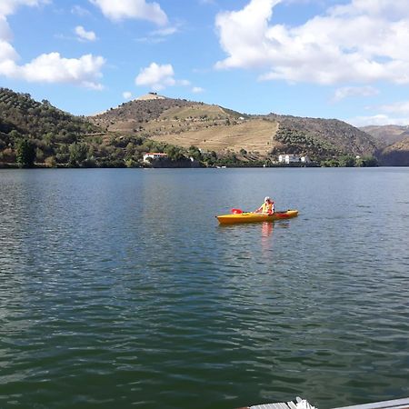 Casa Dos Vinhais - Douro Valley Coleja Экстерьер фото