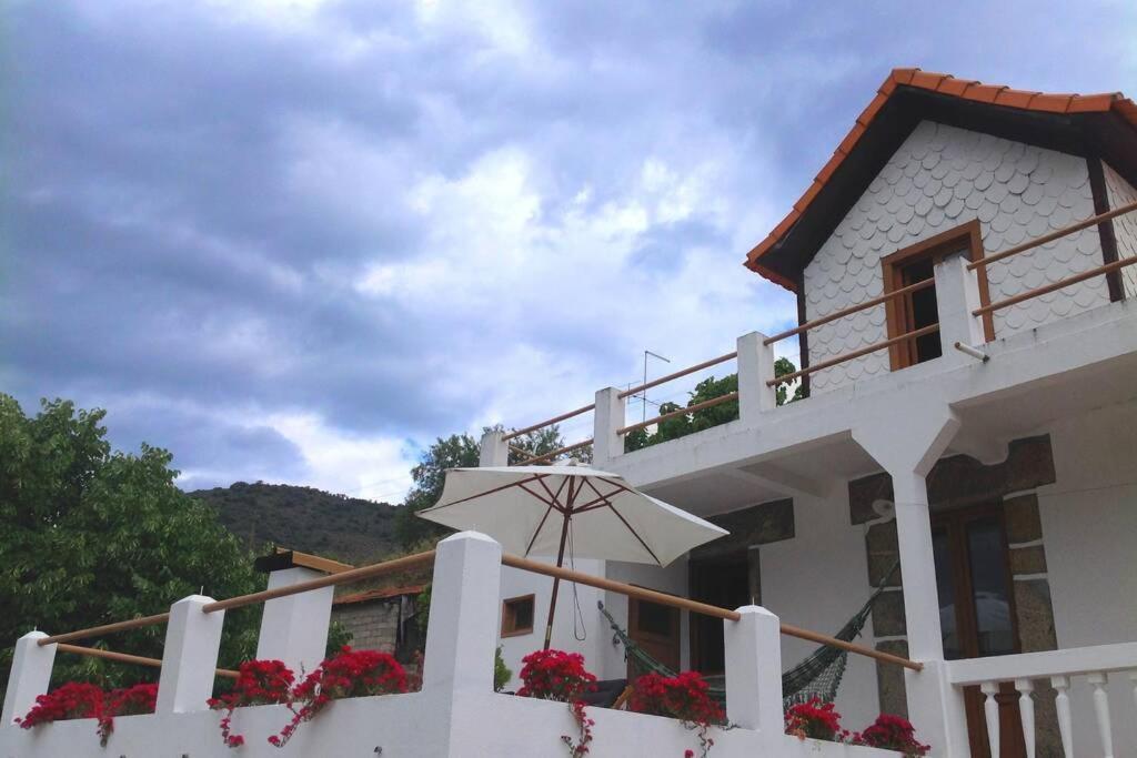 Casa Dos Vinhais - Douro Valley Coleja Экстерьер фото